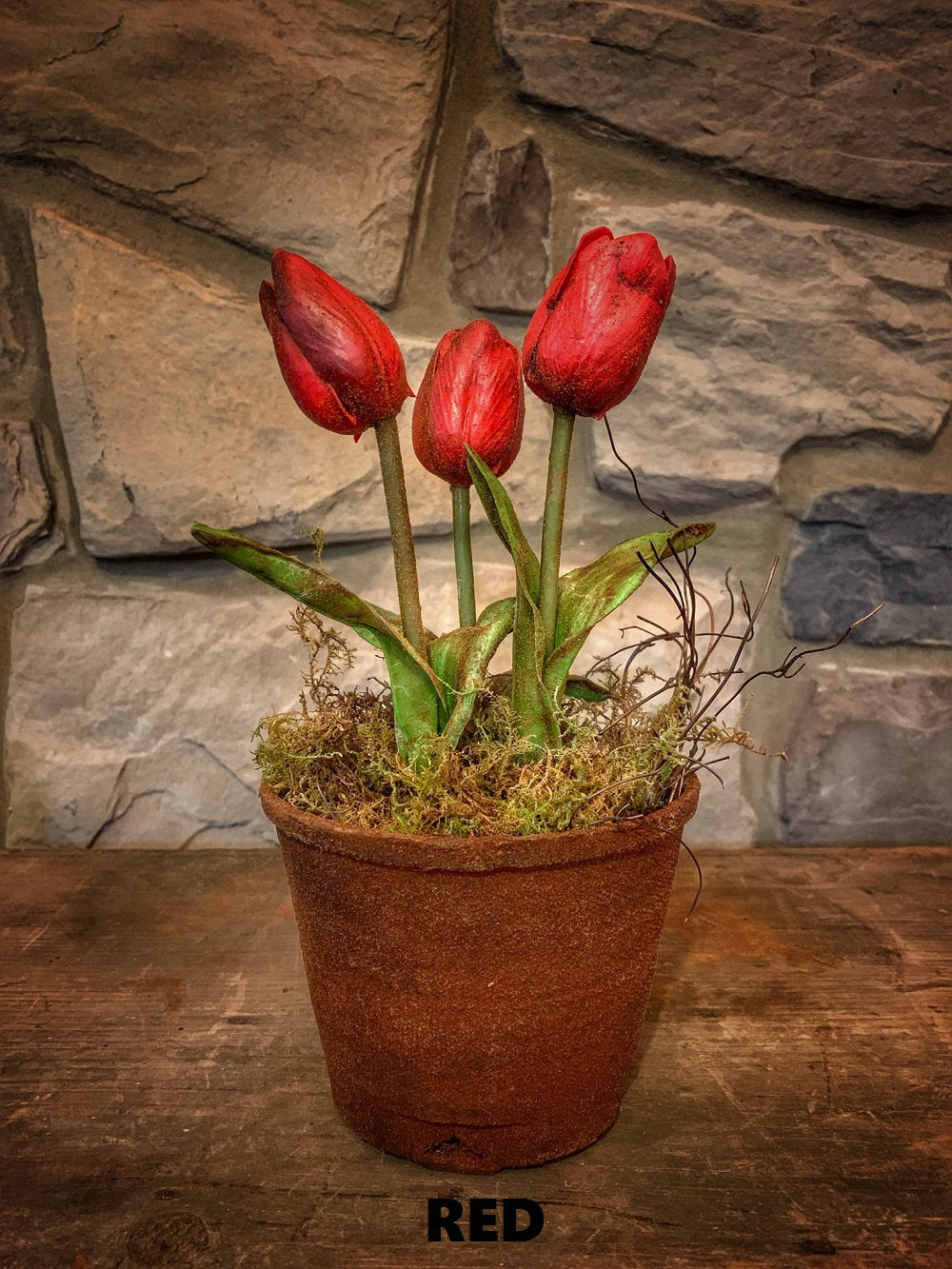 Tulip Red