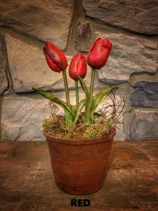 Tulip Red